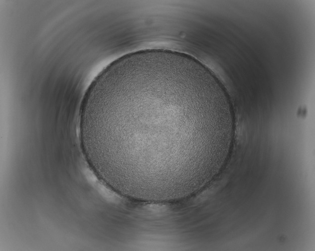 X0000111440888200907131302