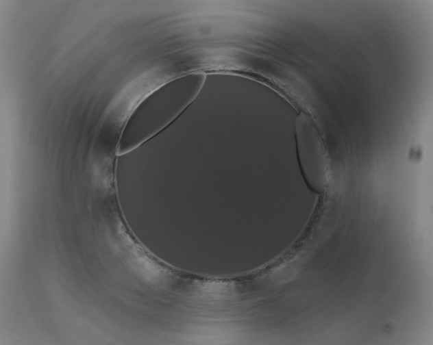 X0000111440889200907131302