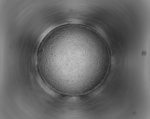 X0000111440891200907131302