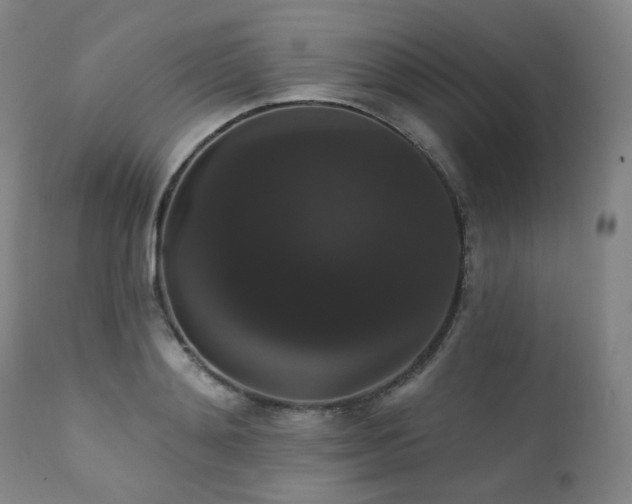 X0000111440892200907131302