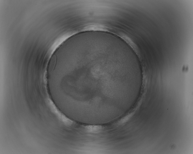 X0000111440893200907131302