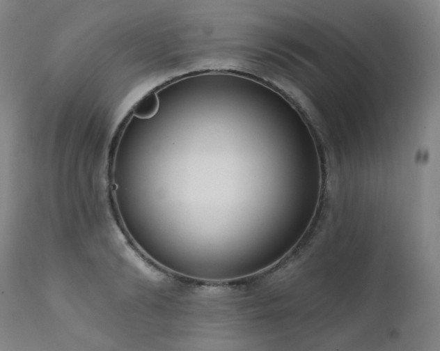 X0000111440894200907131302