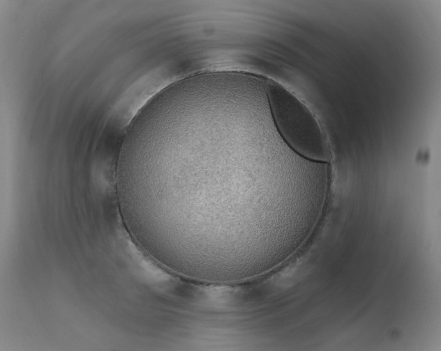 X0000111440897200907131302