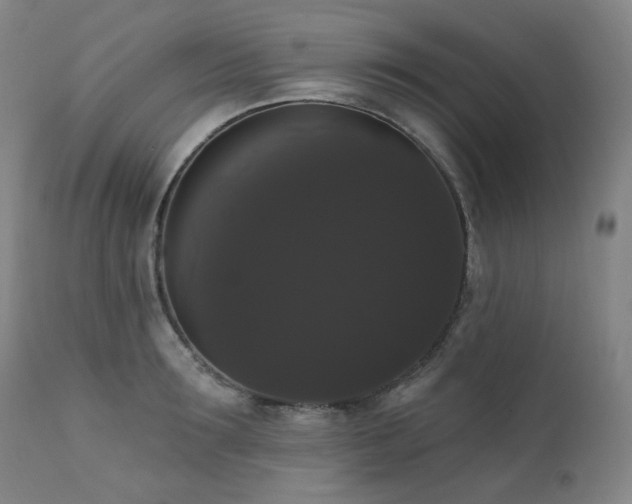 X0000111440899200907131302