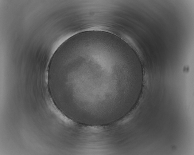 X0000111440900200907131302