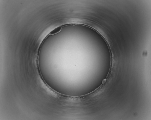 X0000111440901200907131302