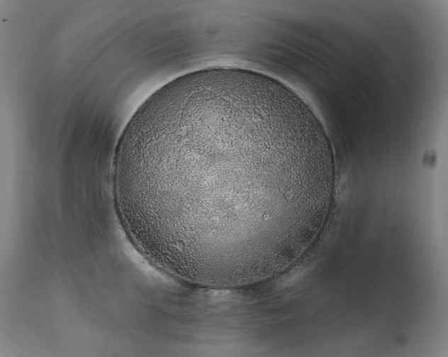 X0000111440903200907131302