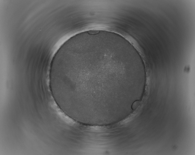 X0000111440904200907131302