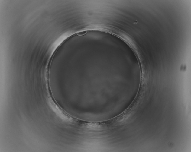 X0000111440907200907131302
