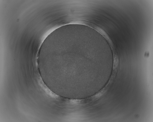 X0000111440908200907131302