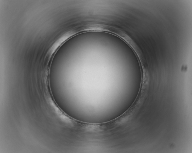 X0000111440909200907131302