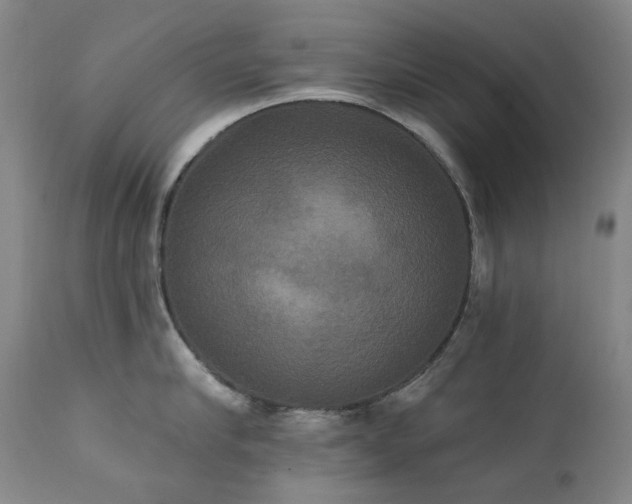 X0000111440910200907131302