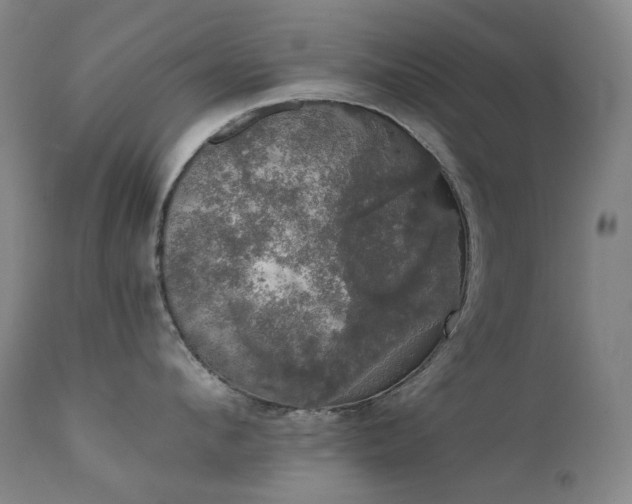 X0000111440912200907131302
