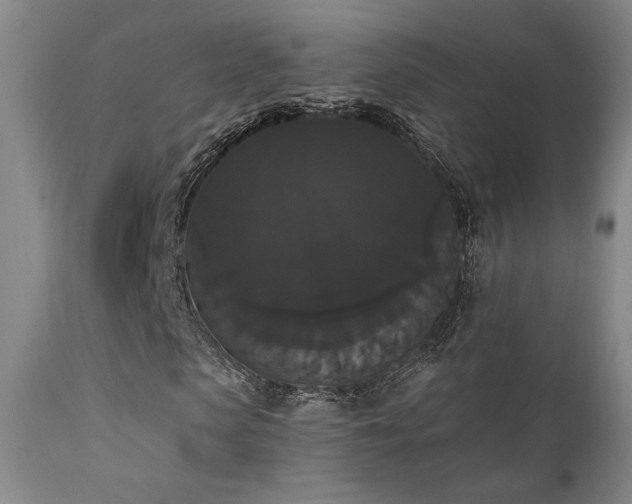 X0000111440913200907131301