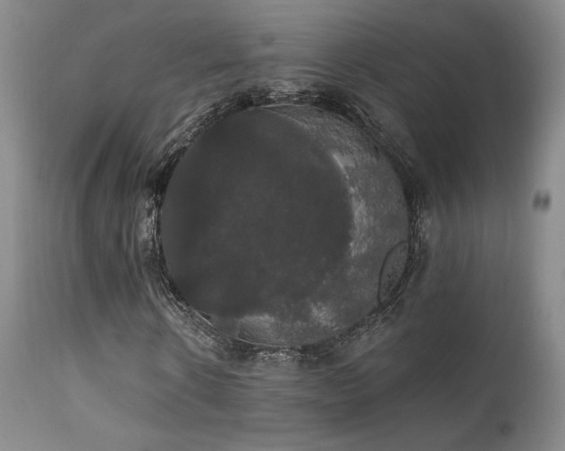 X0000111440914200907131301