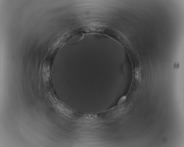 X0000111440915200907131301