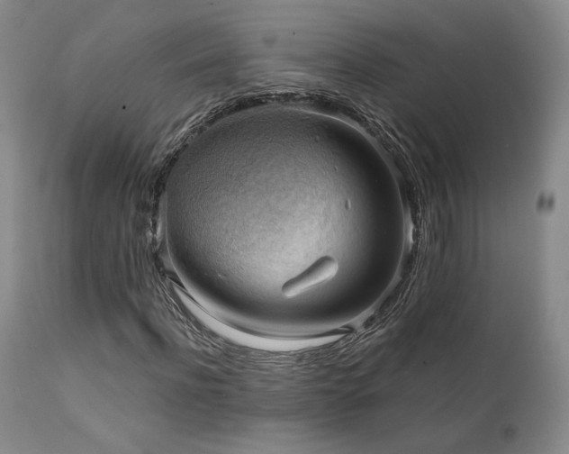 X0000111440916200907131301