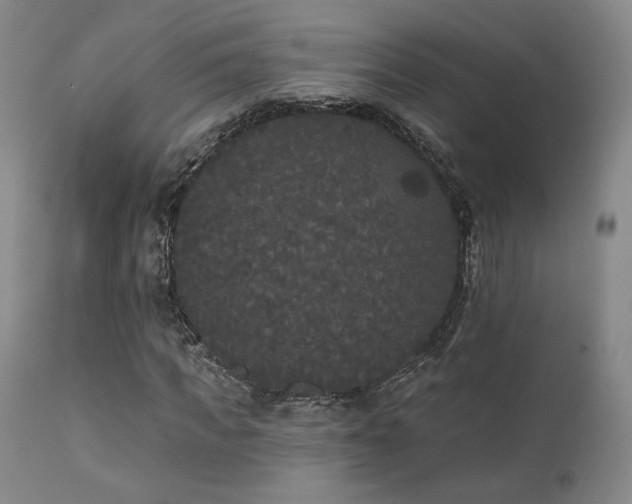 X0000111440917200907131301