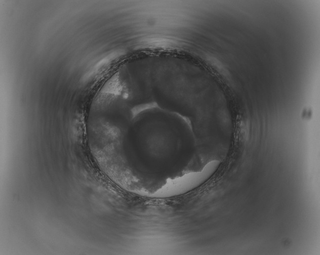 X0000111440918200907131301