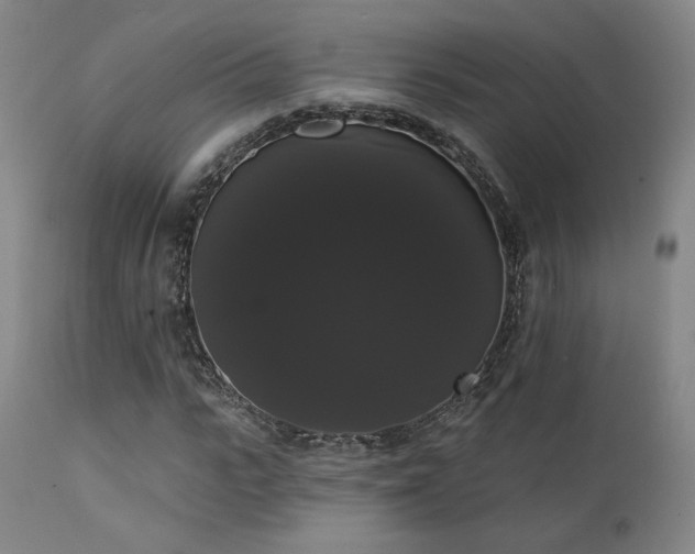 X0000111440919200907131301