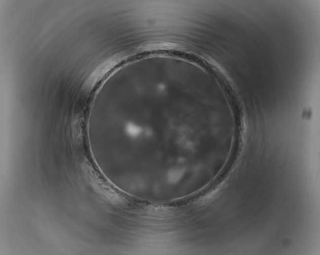 X0000111440921200907131301