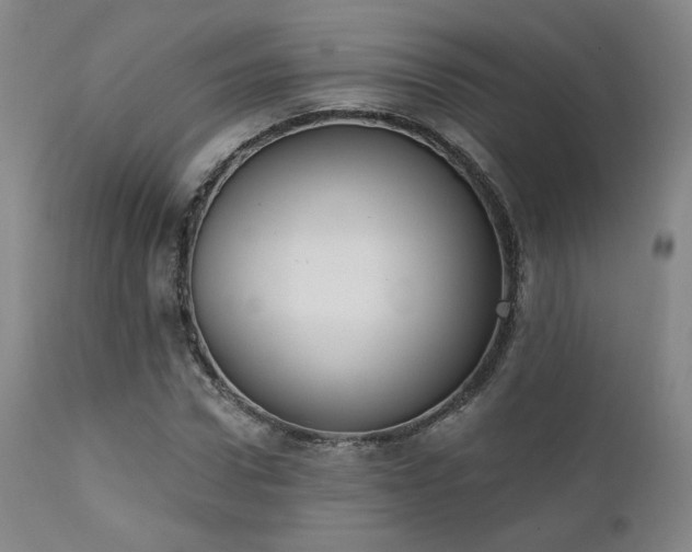 X0000111440922200907131301