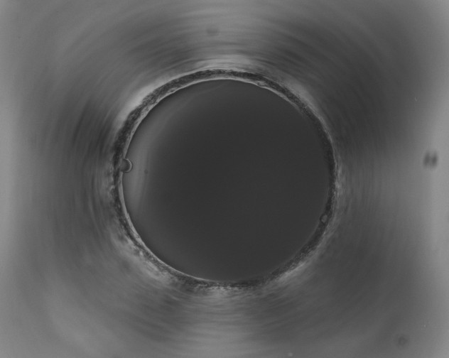 X0000111440923200907131301