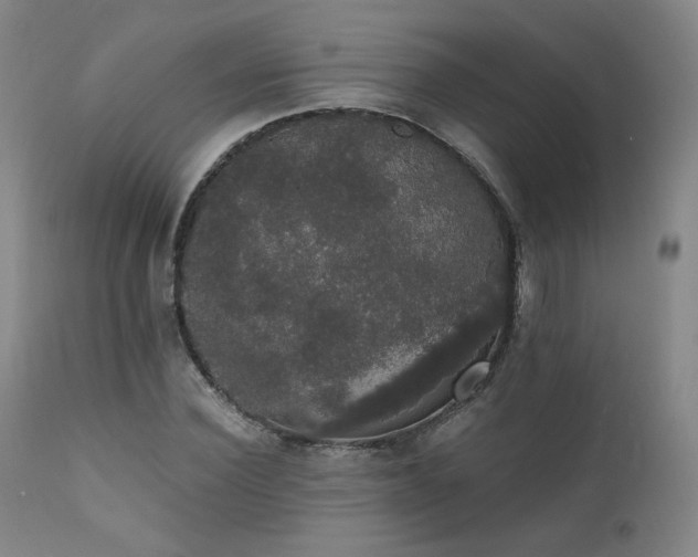 X0000111440924200907131301