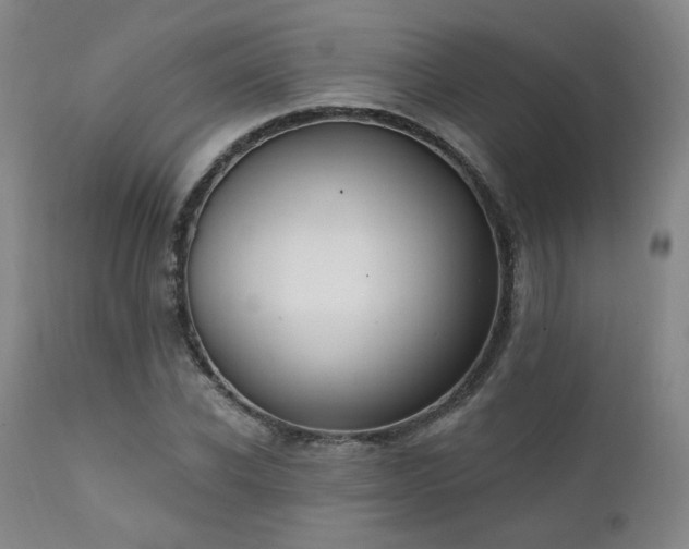 X0000111440926200907131301