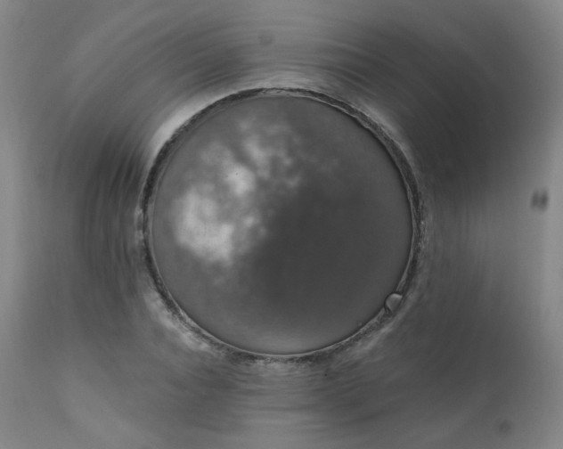 X0000111440928200907131301