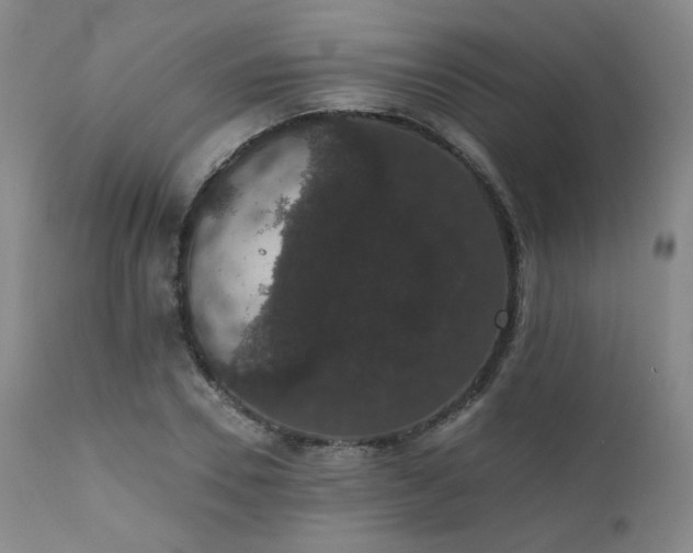 X0000111440930200907131302