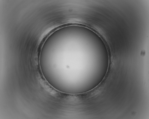 X0000111440931200907131302