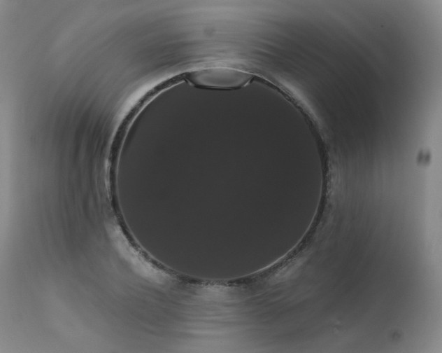 X0000111440932200907131302