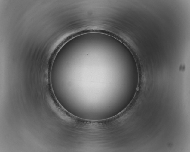 X0000111440934200907131302