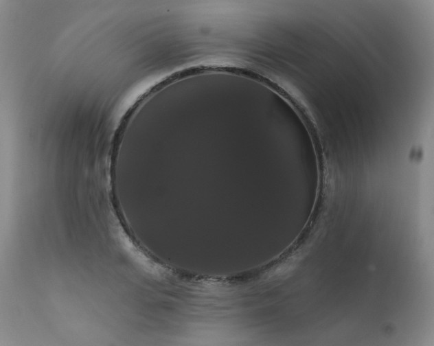 X0000111440935200907131302