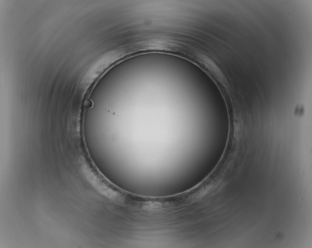 X0000111440938200907131302