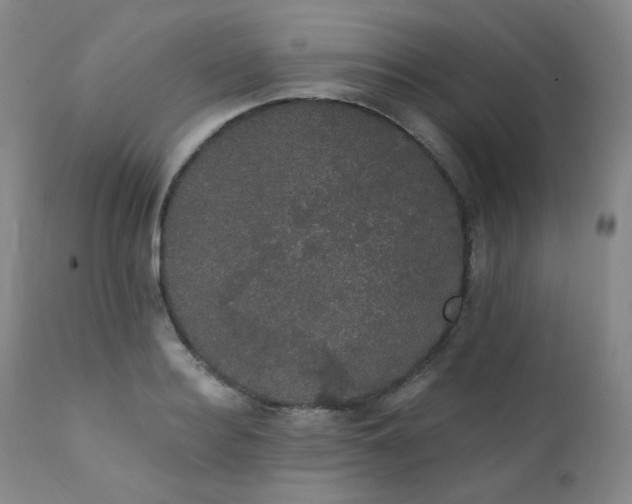X0000111440940200907131302