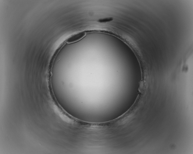 X0000111440942200907131302