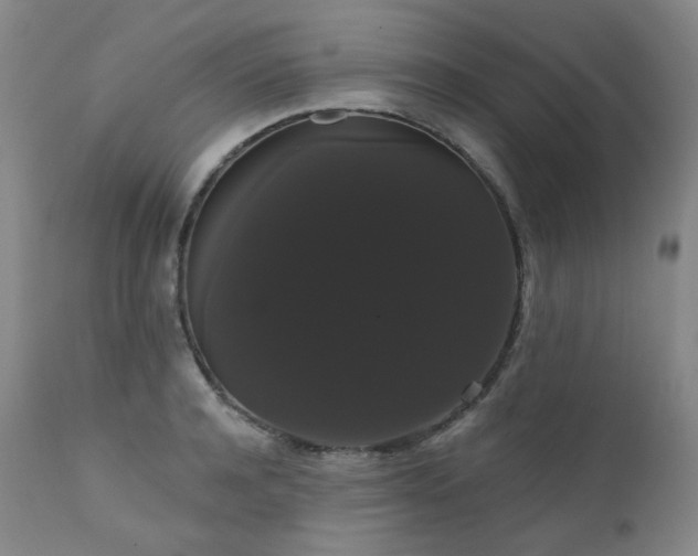 X0000111440944200907131302