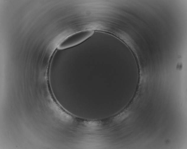 X0000111440946200907131302