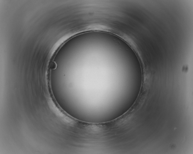 X0000111440947200907131302