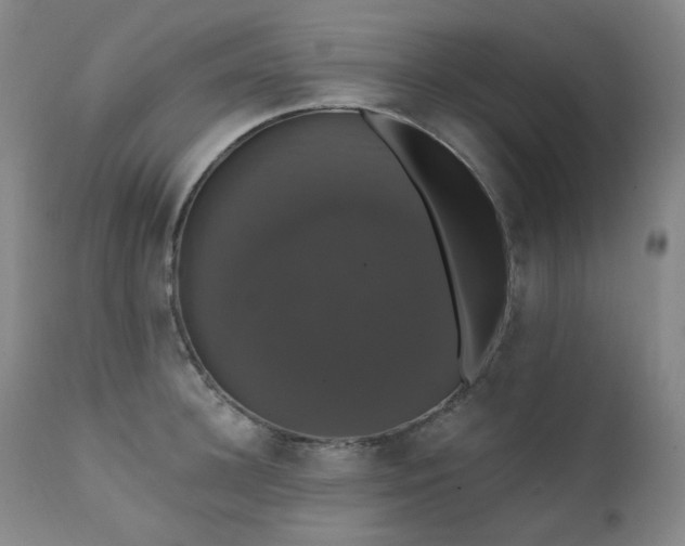 X0000111440948200907131302