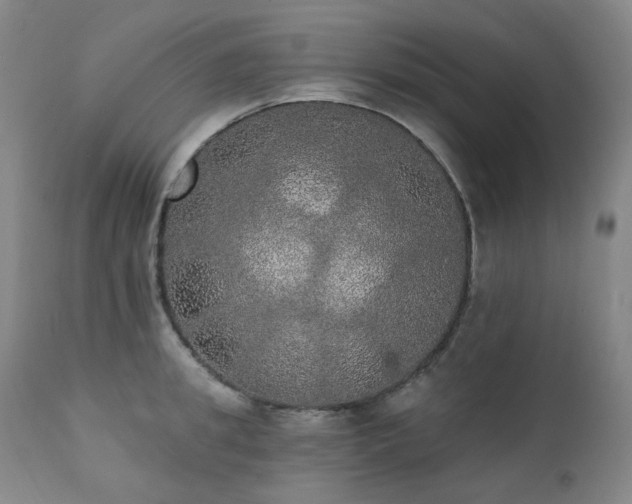 X0000111440949200907131302