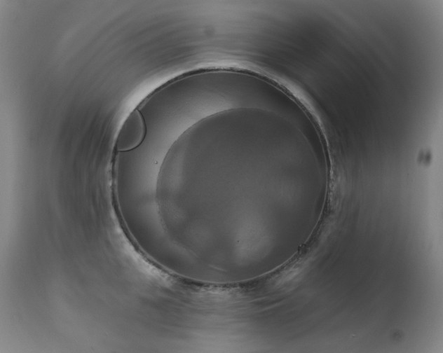 X0000111440951200907131302