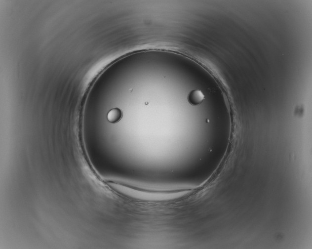 X0000111440952200907131302