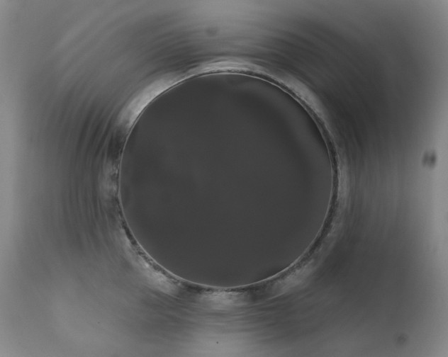 X0000111440953200907131302