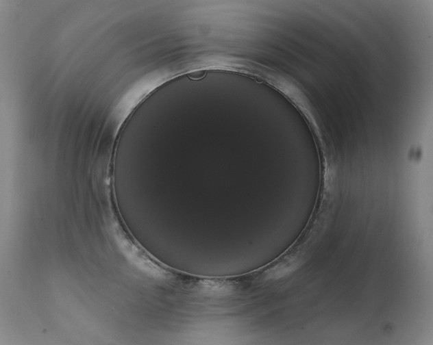 X0000111440954200907131302