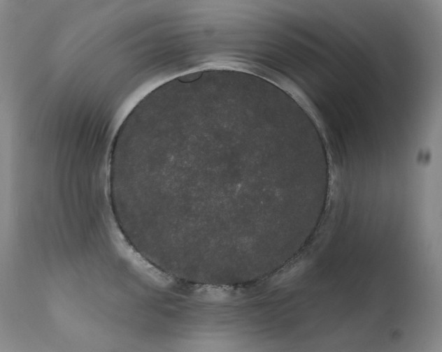 X0000111440955200907131302