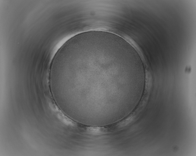 X0000111440956200907131302