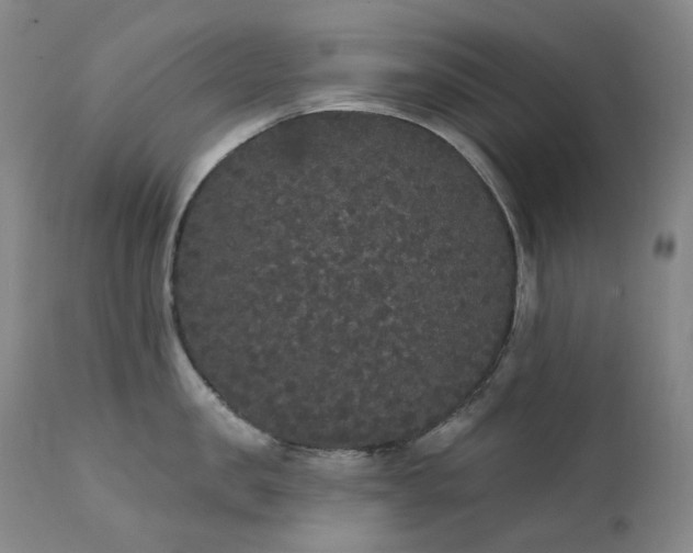 X0000111440957200907131302